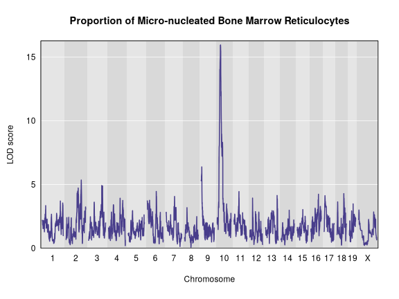 plot of chunk qtl_plot