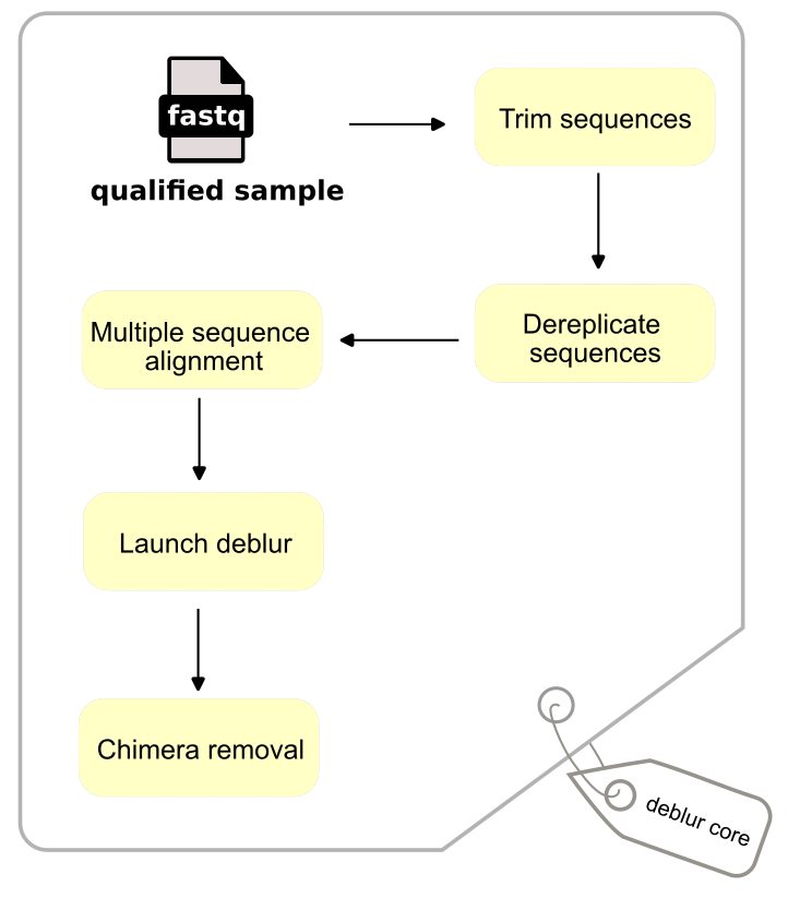 dada_workflow