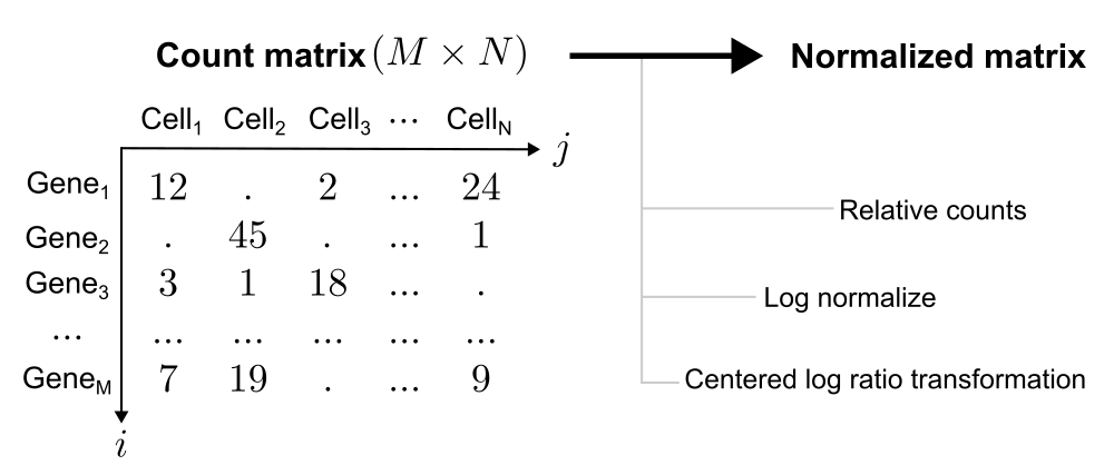 Count matrix